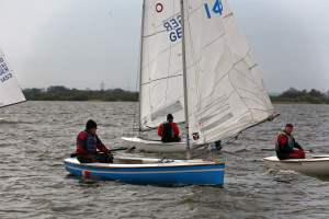 Rohrdommel 2016