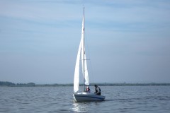 IMG_5474