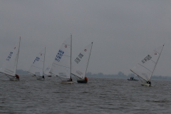 MG_3156