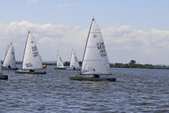 MG_3408
