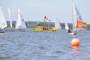 Rohrdommel 2026