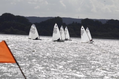 118176111_3546894105341404_5249508548409376550_n