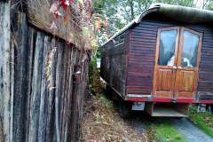 Bild5