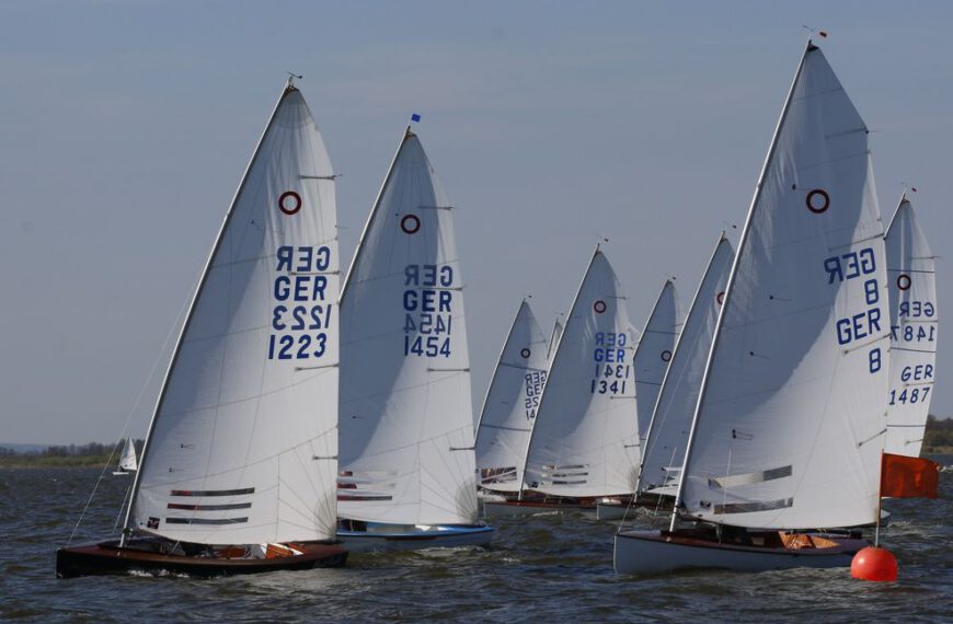 Bilder und Ergebnisse der Rohrdommel sind online